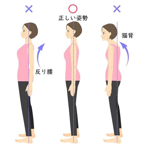 人 姿勢|正しくて美しい姿勢とは？ 4つのテストで姿勢と骨格。